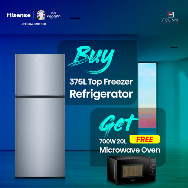 Hisense RD-49DR 375L Top Freezer Refrigerator