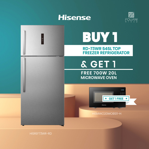 Hisense RD-73WR 545L Top Freezer Refrigerator